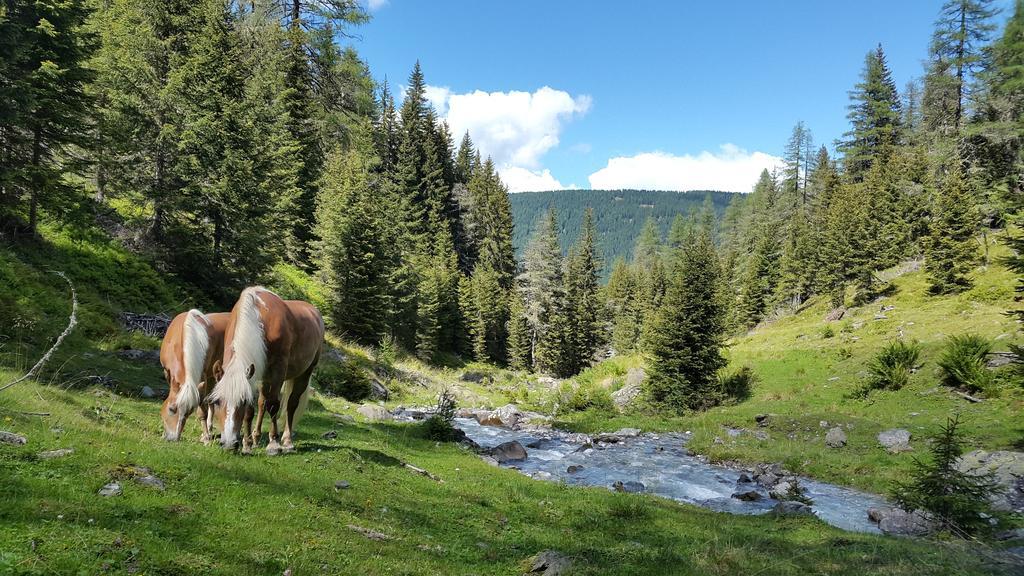 Gaestepension Klammer Kartitsch Exteriér fotografie